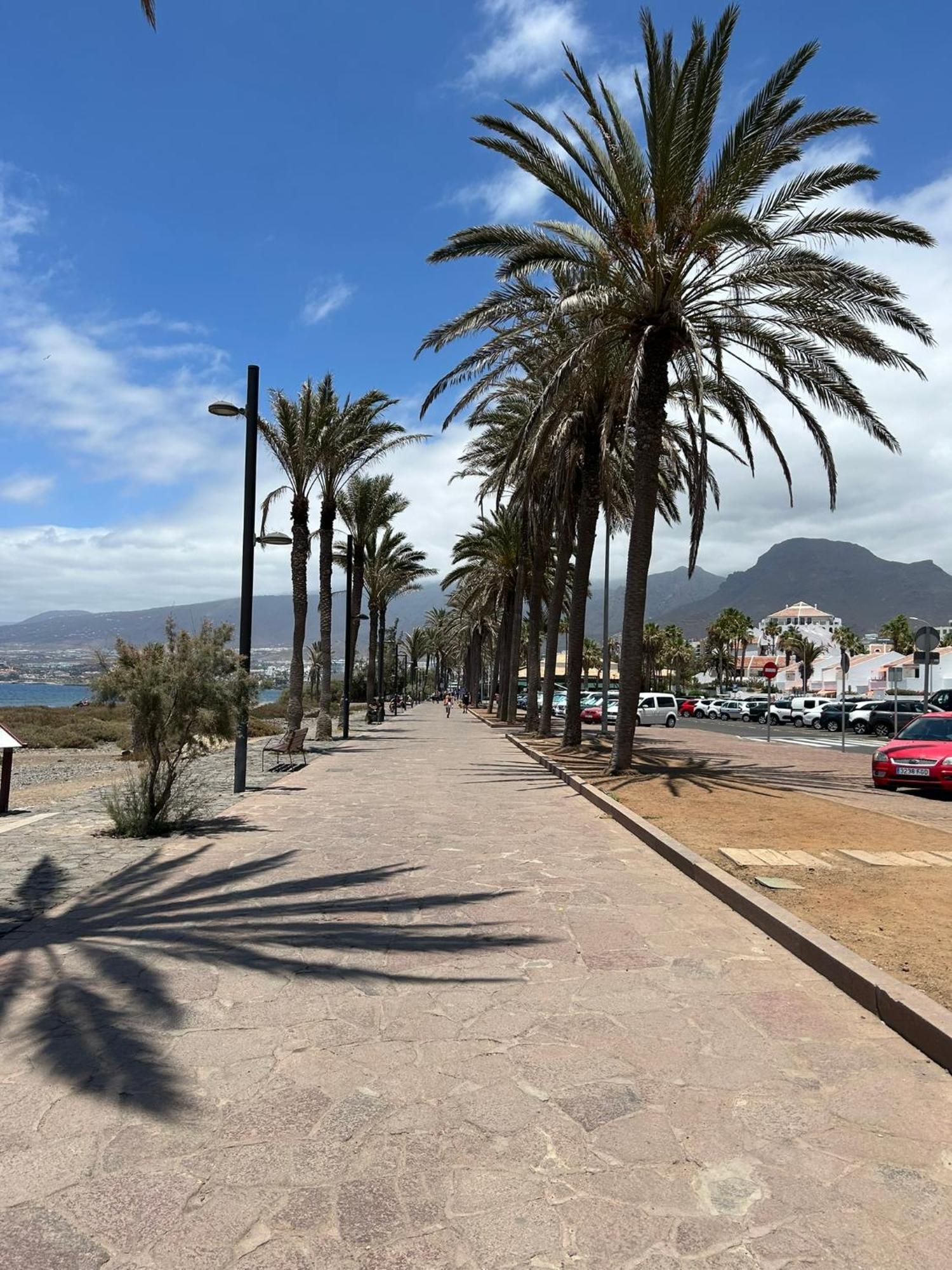 Parque Santiago 1 Lovely Apartment Playa de las Americas  Esterno foto